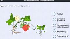 Интерактивные курсы. Биология 7 класс. Расширенный. - fgospostavki.ru - Санкт-Петербург