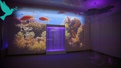 Проекционный дизайн виртуальной реальности Расширеный пакет - fgospostavki.ru - Санкт-Петербург
