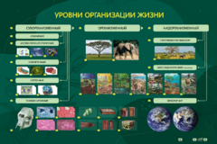 Электрифицированный стенд "Уровни организации жизни" - fgospostavki.ru - Санкт-Петербург