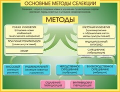 Стенд "Методы селекции и биотехнологии" - fgospostavki.ru - Санкт-Петербург
