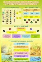 Стенд "Классификация животного мира" - fgospostavki.ru - Санкт-Петербург