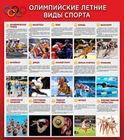 Стенд "Олимпийские летние виды спорта" - fgospostavki.ru - Санкт-Петербург
