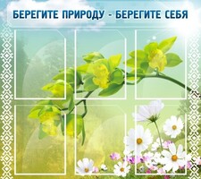 Стенд "Берегите природу - берегите себя" - fgospostavki.ru - Санкт-Петербург