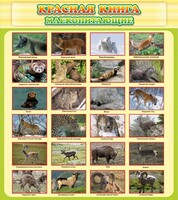 Стенд "Красная книга - млекопитающие" - fgospostavki.ru - Санкт-Петербург
