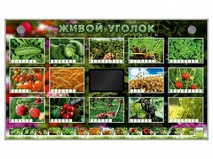 Комплект оборудования "Живой уголок" (растения) - fgospostavki.ru - Санкт-Петербург