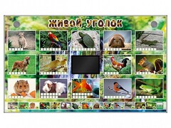 Комплект оборудования "Живой уголок" (животные) - fgospostavki.ru - Санкт-Петербург