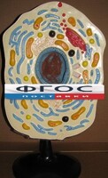 Модель "Клетка животного" - fgospostavki.ru - Санкт-Петербург