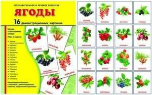 Демонстрационные карточки "Ягоды" - fgospostavki.ru - Санкт-Петербург