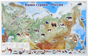 Магнитные карточки "Животные" - fgospostavki.ru - Санкт-Петербург
