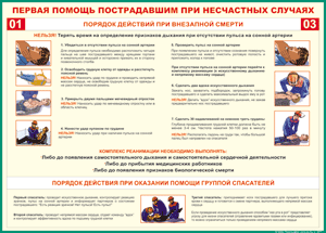 Таблица "Порядок действий при внезапной смерти" (100х140 сантиметров, винил) - fgospostavki.ru - Санкт-Петербург