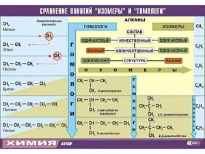 Таблица демонстрационная "Сравнение понятий изомер и гомолог" (винил 70x100) - fgospostavki.ru - Санкт-Петербург