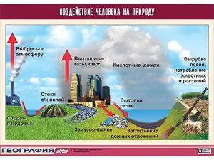 Таблица демонстрационная "Воздействие человека на природу" (винил 70*100) - fgospostavki.ru - Санкт-Петербург