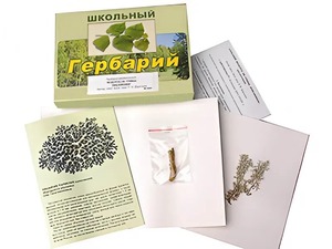 Гербарий "Водоросли. Грибы. Лишайники" (раздаточный) - fgospostavki.ru - Санкт-Петербург