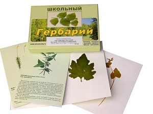 Гербарий "Систематика растений. Высшие споровые и семенные" (раздаточный) - fgospostavki.ru - Санкт-Петербург