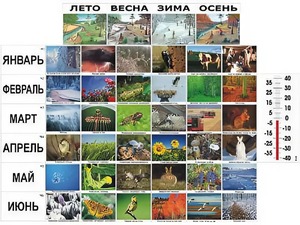 Фенологические наблюдения - fgospostavki.ru - Санкт-Петербург