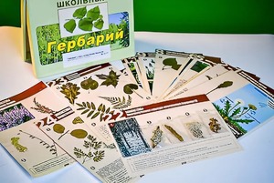 Гербарий к курсу основ общей биологии - fgospostavki.ru - Санкт-Петербург