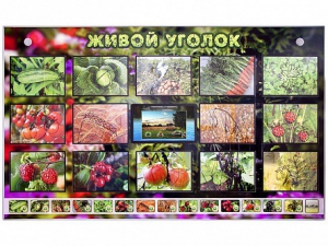 Комплект оборудования "Живой уголок" (растения) с тифлопереводом и сурдокомментариями - fgospostavki.ru - Санкт-Петербург