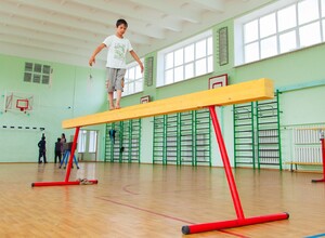 Бревно гимнастическое напольное постоянной высоты (700 мм) (5 м) - fgospostavki.ru - Санкт-Петербург