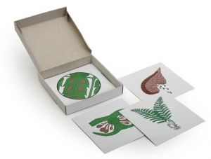 Модель-аппликация "Размножение папоротника" (набор из 8 карт) - fgospostavki.ru - Санкт-Петербург