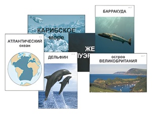 Модель-аппликация "Океаны. Знакомство" (ламинированная) - fgospostavki.ru - Санкт-Петербург