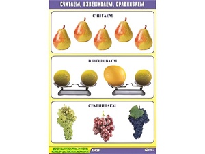 Таблица демонстрационная "Считаем, взвешиваем, сравниваем" (винил 70x100) - fgospostavki.ru - Санкт-Петербург