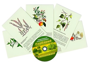 Интерактивный наглядный комплекс "Гербарий "Для начальной школы" - fgospostavki.ru - Санкт-Петербург