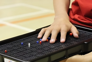 Сетка для игры тактильная (Бочча) - fgospostavki.ru - Санкт-Петербург