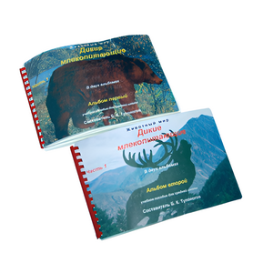 Пособие для слабовидящих - Дикие млекопитающие - fgospostavki.ru - Санкт-Петербург