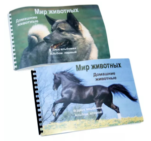 Пособие для слабовидящих - Домашние животные - fgospostavki.ru - Санкт-Петербург