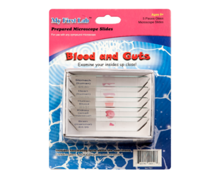 Набор микропрепаратов для микроскопа №1 «Человек» - fgospostavki.ru - Санкт-Петербург