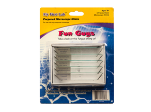 Набор микропрепаратов для микроскопа №8 «Грибы» - fgospostavki.ru - Санкт-Петербург