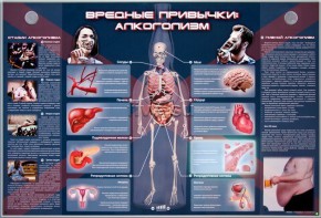 Электрифицированный стенд "Вредные привычки: алкоголизм" - fgospostavki.ru - Санкт-Петербург