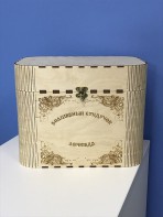 Сундук логопеда для детей 6-7 лет - fgospostavki.ru - Санкт-Петербург