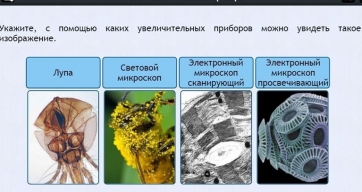 Интерактивные курсы. Биология 5 класс. Расширенный - fgospostavki.ru - Санкт-Петербург