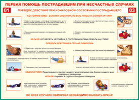 Таблица "Порядок действий при коматозном состоянии пострадавшего" (100х140 сантиметров, винил) - fgospostavki.ru - Санкт-Петербург