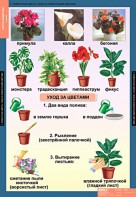 Комплект таблиц. Окружающий мир 1 класс. - fgospostavki.ru - Санкт-Петербург