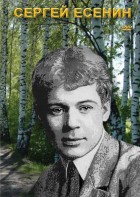 DVD "Сергей Есенин" - fgospostavki.ru - Санкт-Петербург