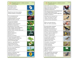 Комплект карточек (10) "Обучающий калейдоскоп. Природа" - fgospostavki.ru - Санкт-Петербург