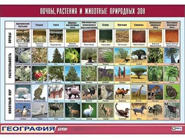 Таблица демонстрационная "Почвы, растения и животные природных зон" (винил 70*100) - fgospostavki.ru - Санкт-Петербург