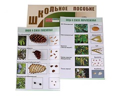 Коллекция "Шишки, плоды, семена деревьев и кустарников" - fgospostavki.ru - Санкт-Петербург