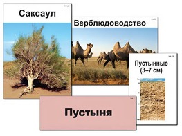 Модель-аппликация "Природные зоны России" (ламинированная) - fgospostavki.ru - Санкт-Петербург