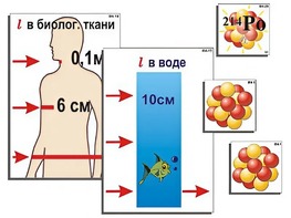 Модель-аппликация "Явление радиоактивности" (ламинированная) - fgospostavki.ru - Санкт-Петербург