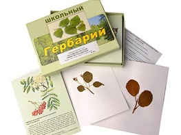 Гербарий "Систематика растений. Семейство Розоцветные" (раздаточный) - fgospostavki.ru - Санкт-Петербург