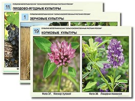 Гербарий фотографический "Сельскохозяйственные растения России" - fgospostavki.ru - Санкт-Петербург