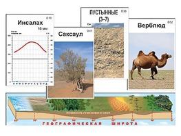 Модель-аппликация "Природные зоны" - fgospostavki.ru - Санкт-Петербург