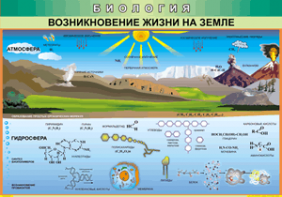Таблица "Возникновение жизни на земле" (100х140 сантиметров, винил) - fgospostavki.ru - Санкт-Петербург