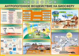Таблица "Антропогенное воздействие на биосферу" (100х140 сантиметров, винил) - fgospostavki.ru - Санкт-Петербург