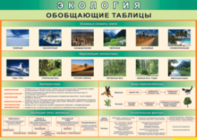 Таблица "Экология. Обобщающие таблицы" (100х140 сантиметров, винил) - fgospostavki.ru - Санкт-Петербург