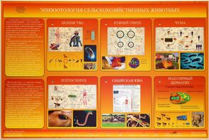 Электрифицированный стенд «Эпизоотология сельскохозяйственных животных» - fgospostavki.ru - Санкт-Петербург