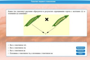 Интерактивные курсы. Биология 11 класс. Базовый. - fgospostavki.ru - Санкт-Петербург